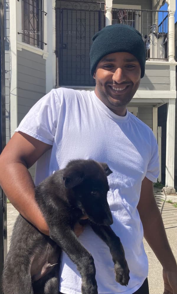 Customer photo of German Shepherd puppy from Abdulla S.