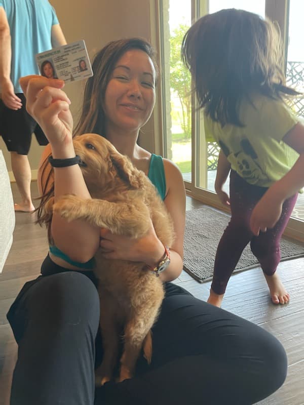 Customer photo of Goldendoodle, Mini puppy from Laura C.