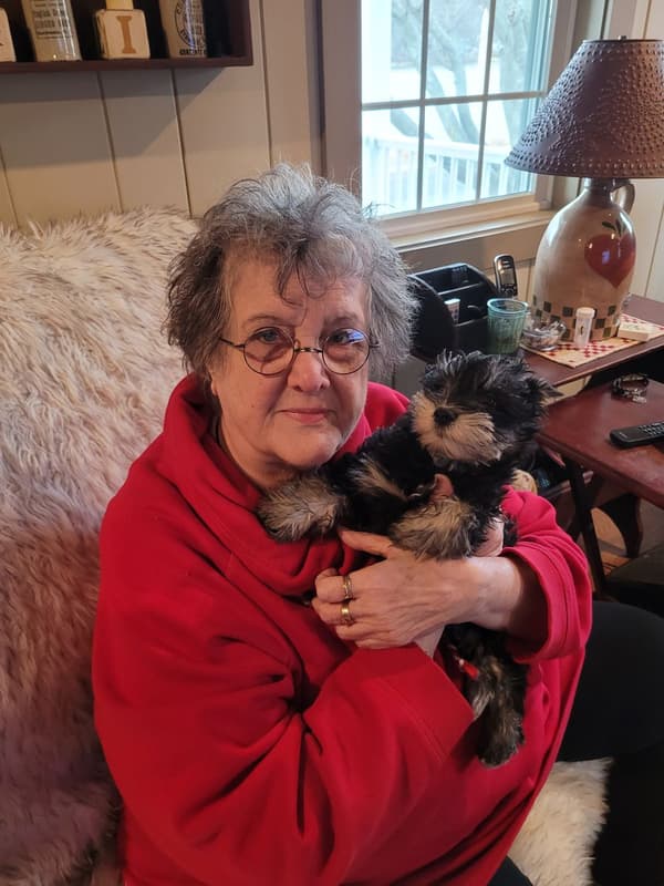 Customer photo of Schnauzer, Miniature puppy from Mary M.
