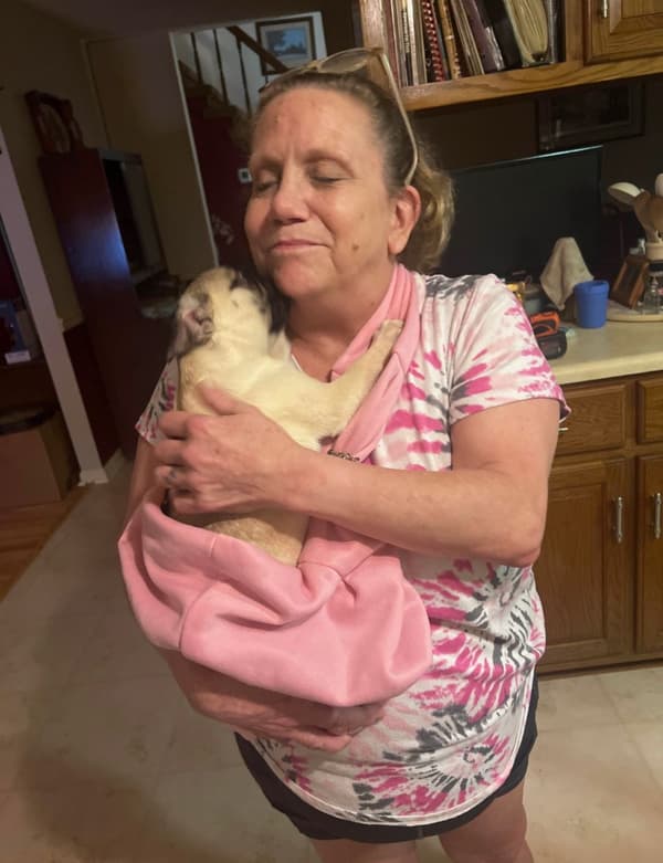 Customer photo of Pug puppy from Sylvia D. 
