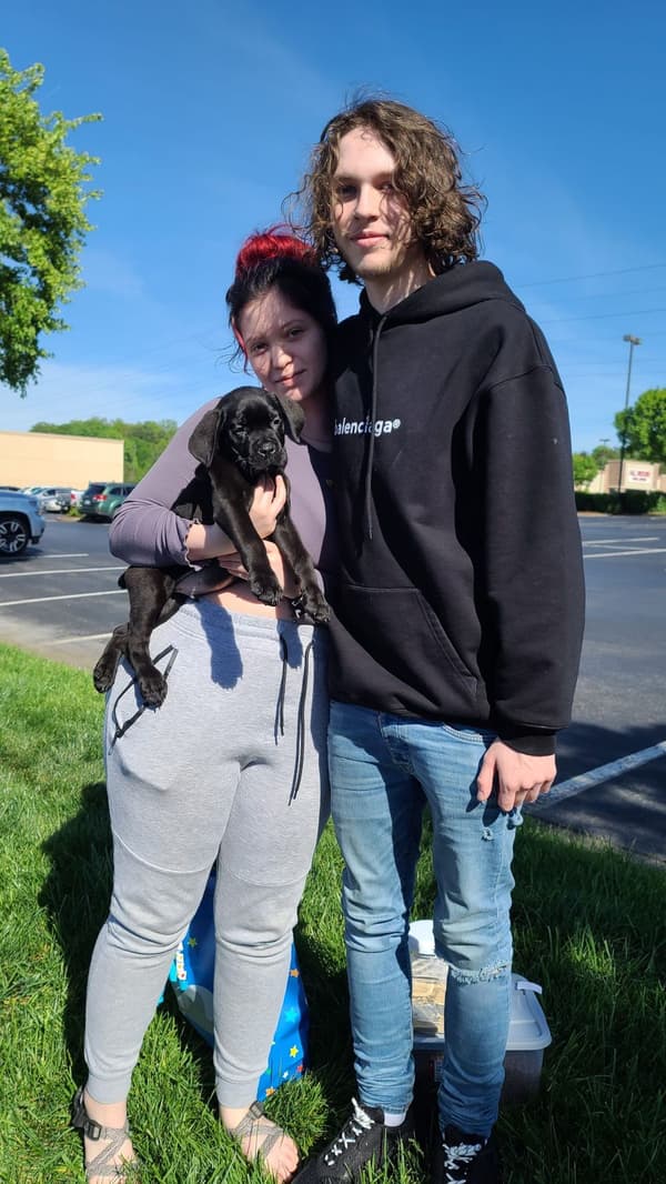 Customer photo of Cane Corso Mastiff puppy from Joseph N.