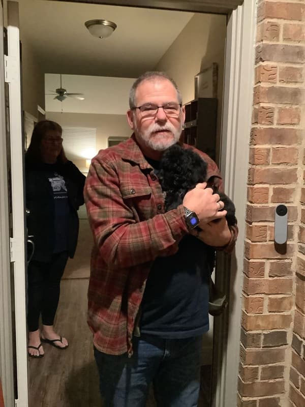 Customer photo of Bernedoodle puppy from Paul G.