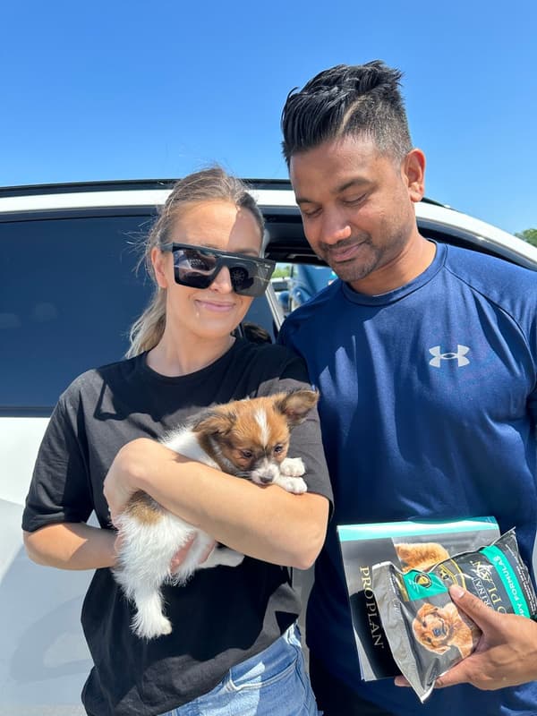 Customer photo of Papillon puppy from Malgorzata B.