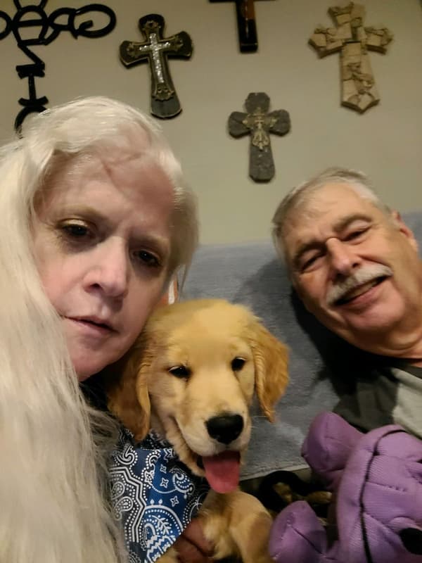 Customer photo of Golden Retriever puppy from William B. 