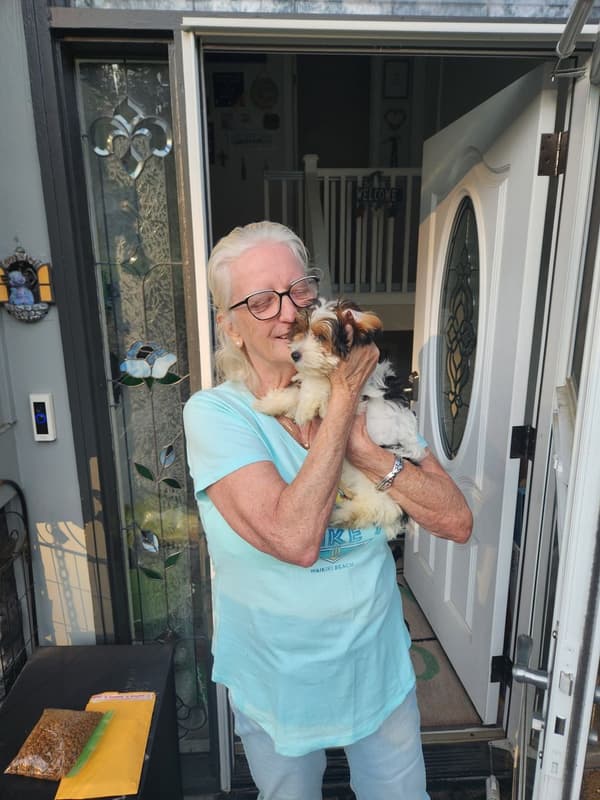 Customer photo of Yorkiepoo - Yorkie Poo puppy from Carolyn F.