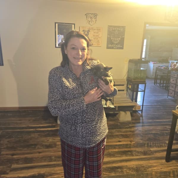 Customer photo of French Bulldog puppy from Tonya H.