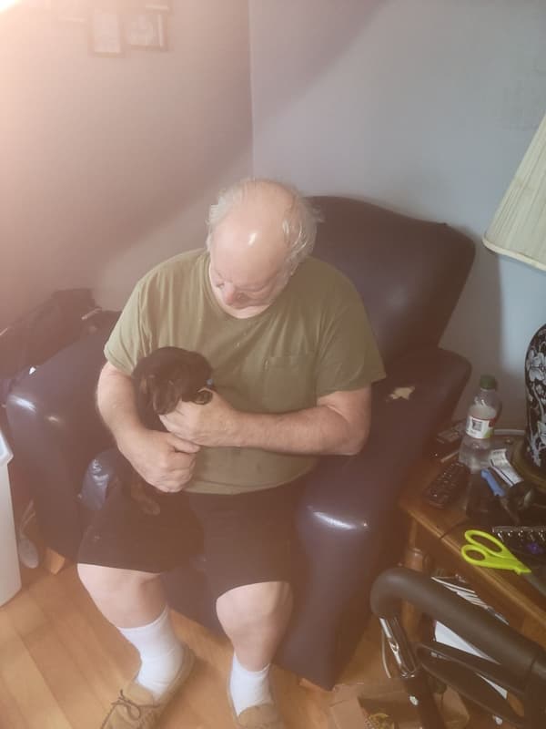 Customer photo of Dachshund, Mini puppy from Dennis B.
