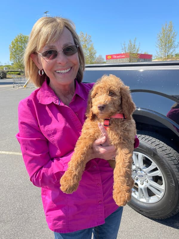 Customer photo of Goldendoodle, Mini puppy from Donald H.