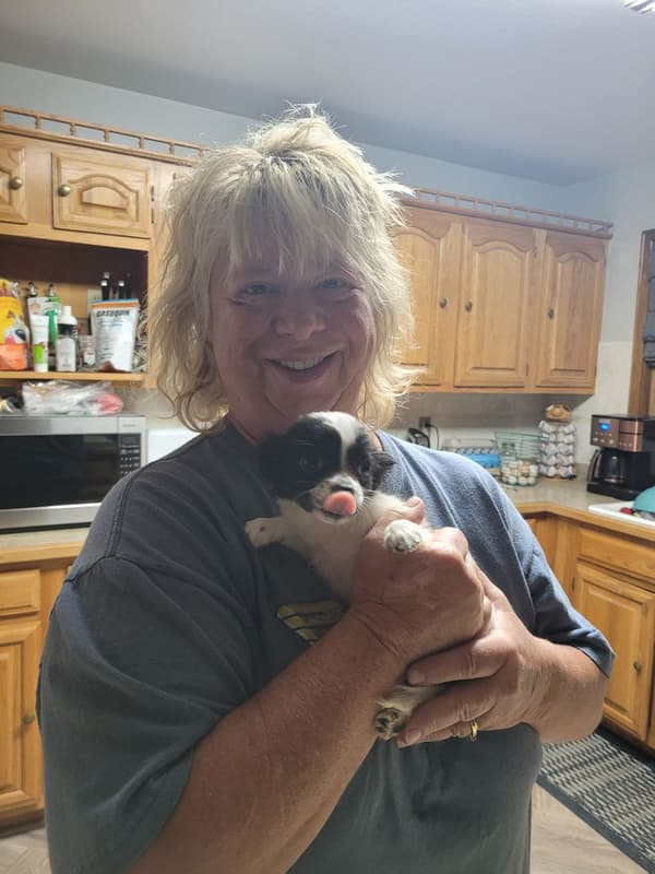 Customer photo of Chihuahua puppy from Wendy A.