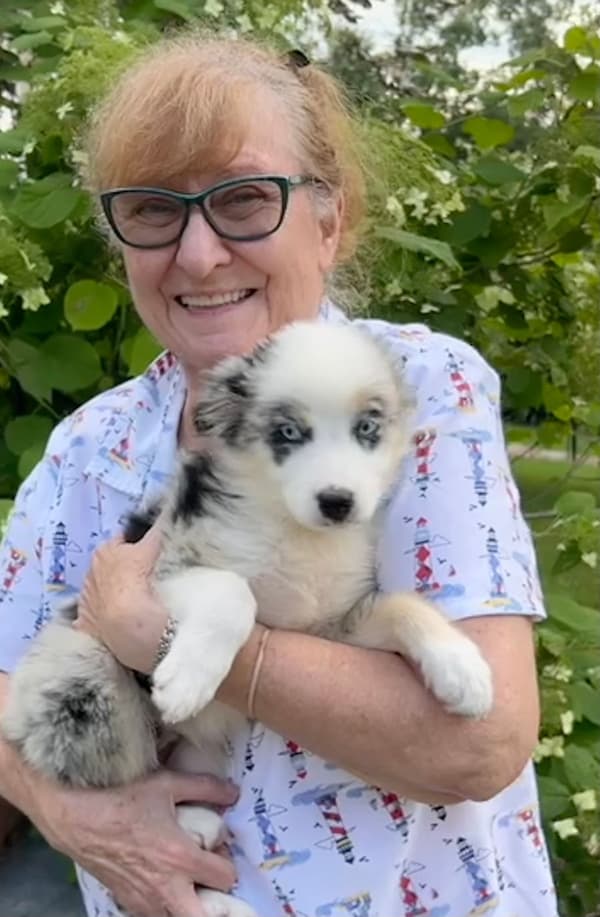 Customer photo of Australian Shepherd puppy from Patricia R.