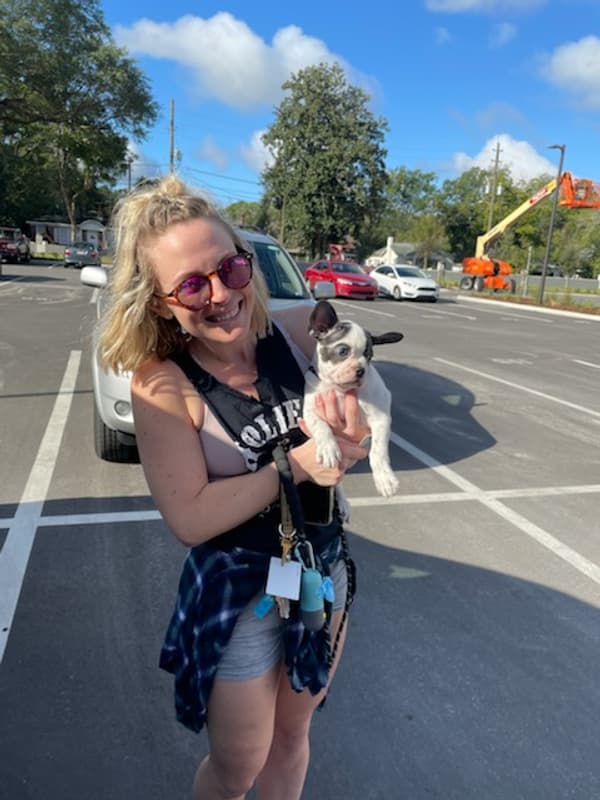 Customer photo of Frenchton puppy from Andrea S.