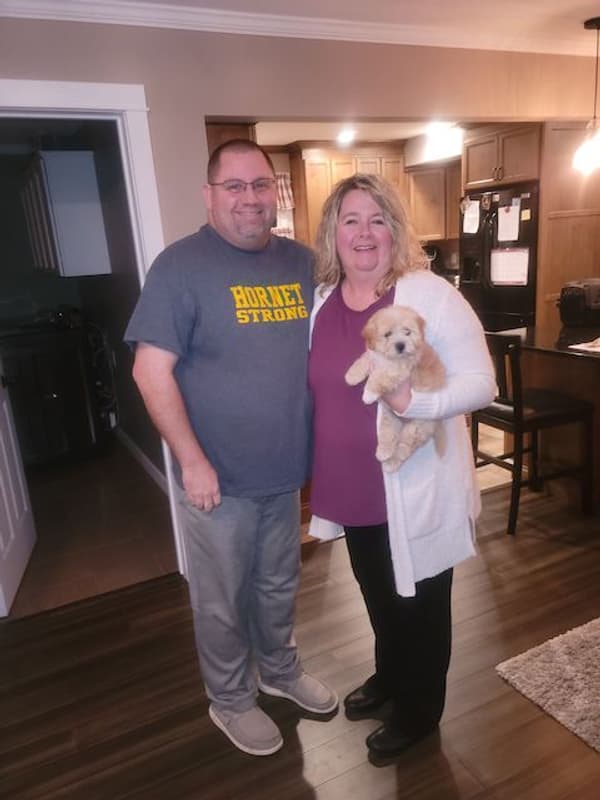 Customer photo of Shih-Poo - Shihpoo puppy from Jeri H.