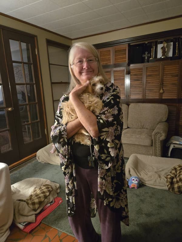 Customer photo of Chi-Poo - Chipoo puppy from Patricia D.