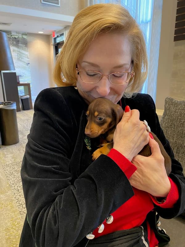 Customer photo of Dachshund, Mini puppy from Marie M.