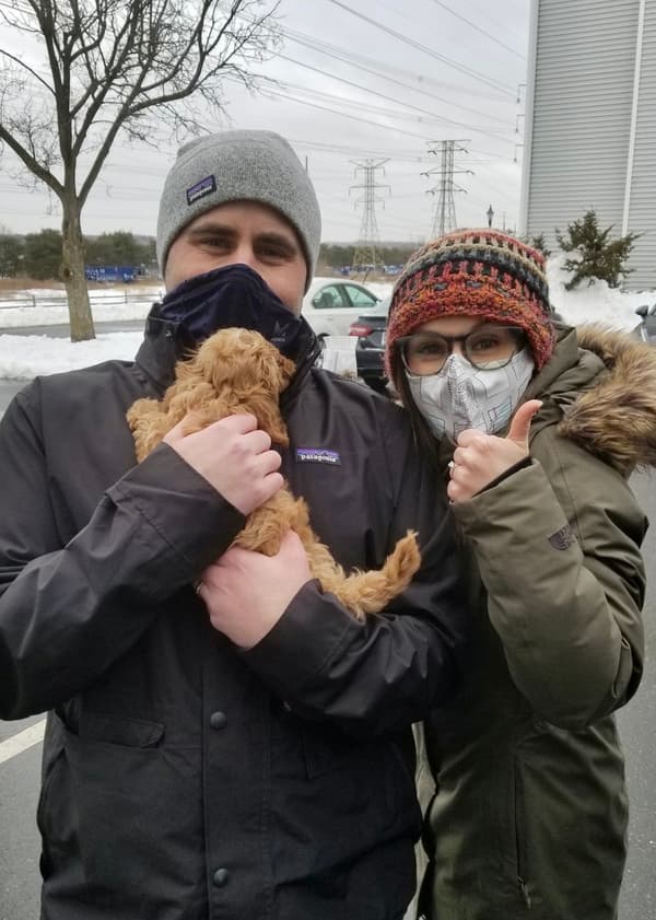 Customer photo of Cavapoo puppy from Michael B.