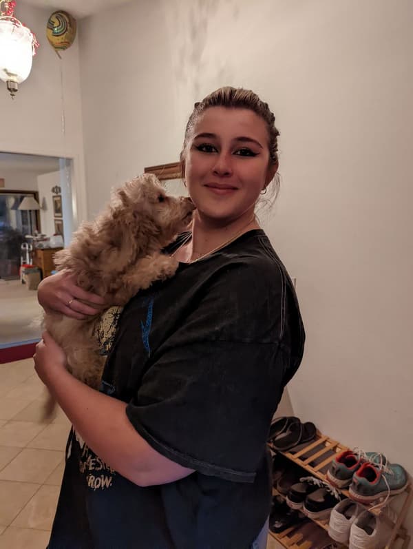 Customer photo of Goldendoodle, Mini puppy from Madelyne G.