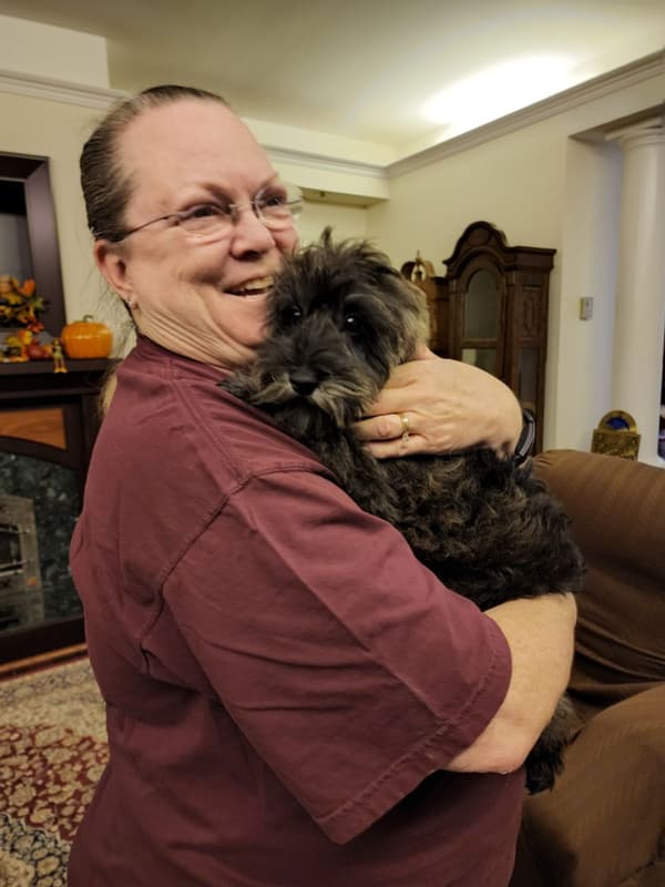 Customer photo of Schnoodle puppy from Suzi K. 