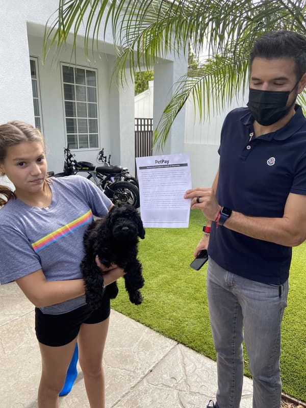 Customer photo of Poodle, Miniature puppy from Gustavo V.