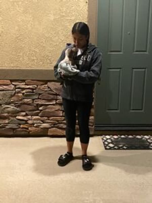 Customer photo of Dachshund, Mini puppy from Crystal T.