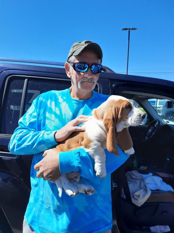 Customer photo of Basset Hound puppy from Vic C.