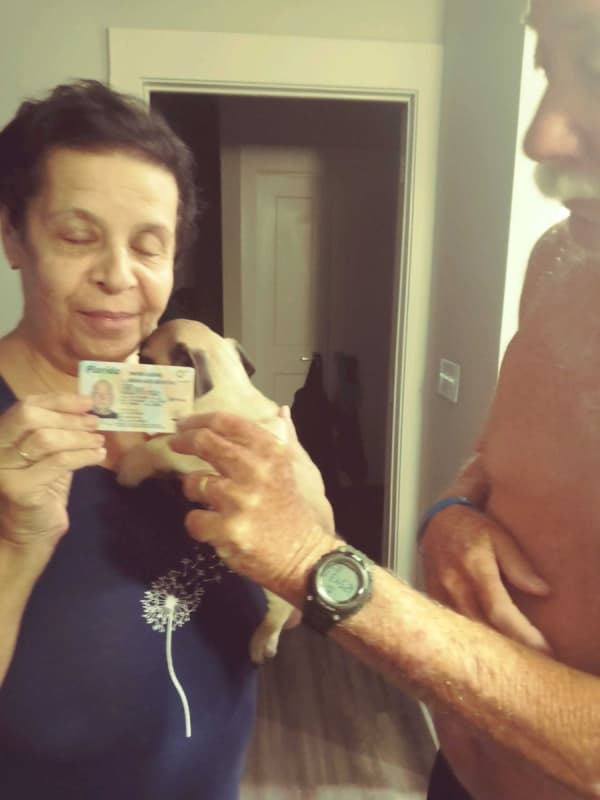 Customer photo of Pug puppy from Linda B.