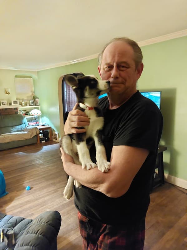 Customer photo of Siberian Husky puppy from Robert G. 