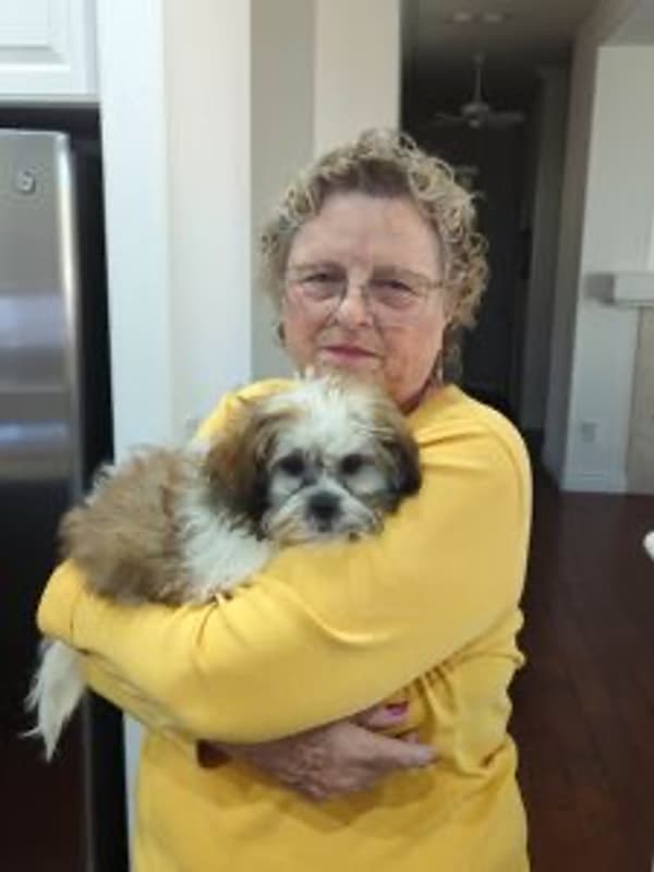 Customer photo of Shih Tzu puppy from Sharon E.