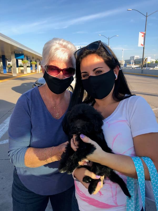 Customer photo of Havanese puppy from Christina Z.