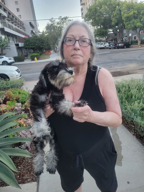 Customer photo of Schnauzer, Miniature puppy from Melissa L.