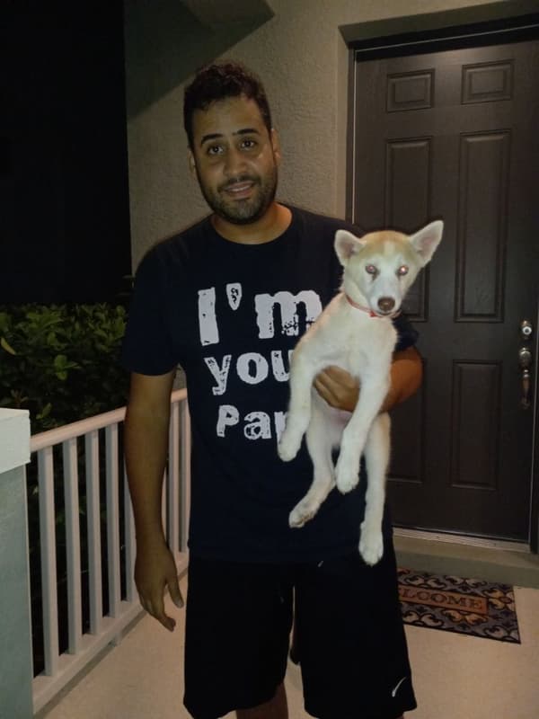 Customer photo of Siberian Husky puppy from Pablo T.