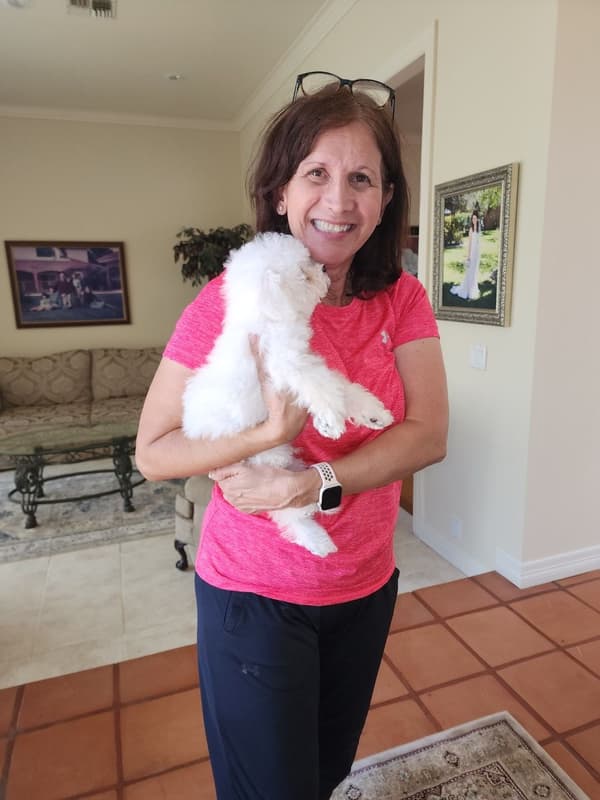 Customer photo of Bichon Frise puppy from Flavio G.