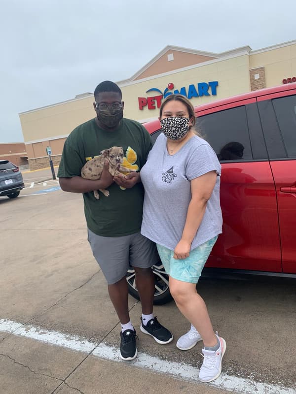 Customer photo of French Bulldog puppy from Laura T.