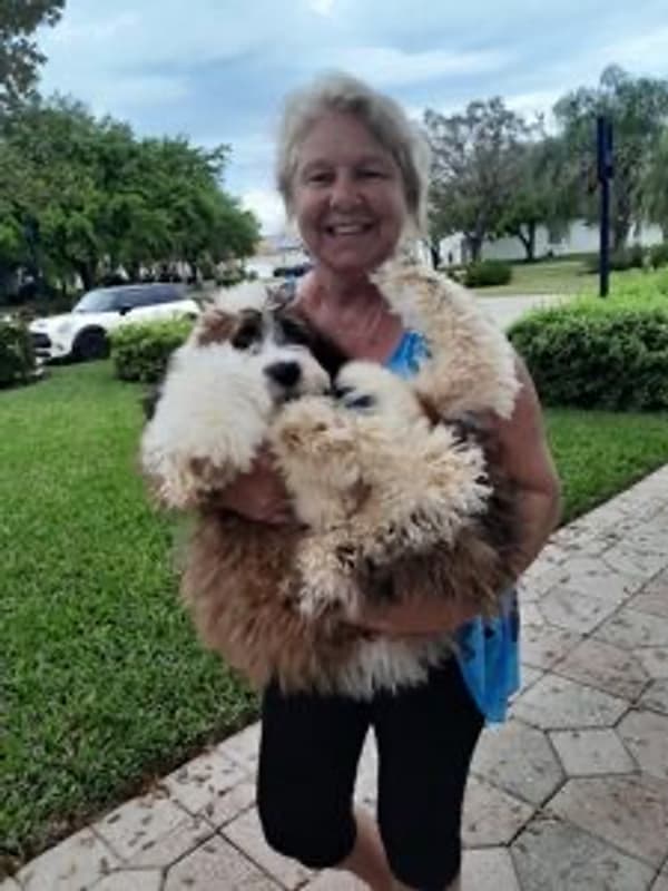 Customer photo of Saint Berdoodle - St. Berdoodle puppy from Scott N.