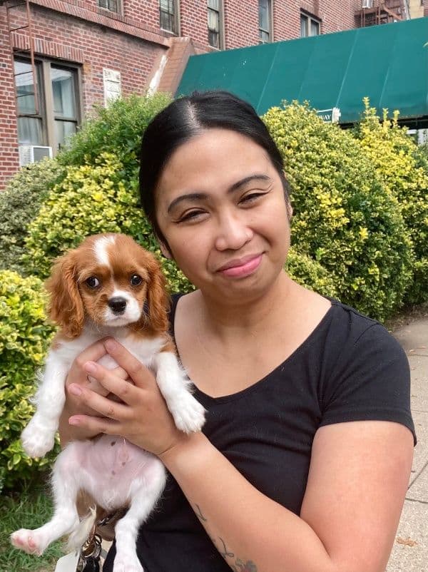 Customer photo of Cavalier King Charles Spaniel puppy from Cheryl O.