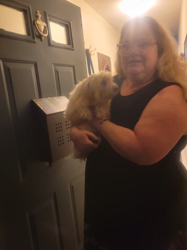 Customer photo of Coton De Tulear puppy from Terry S.
