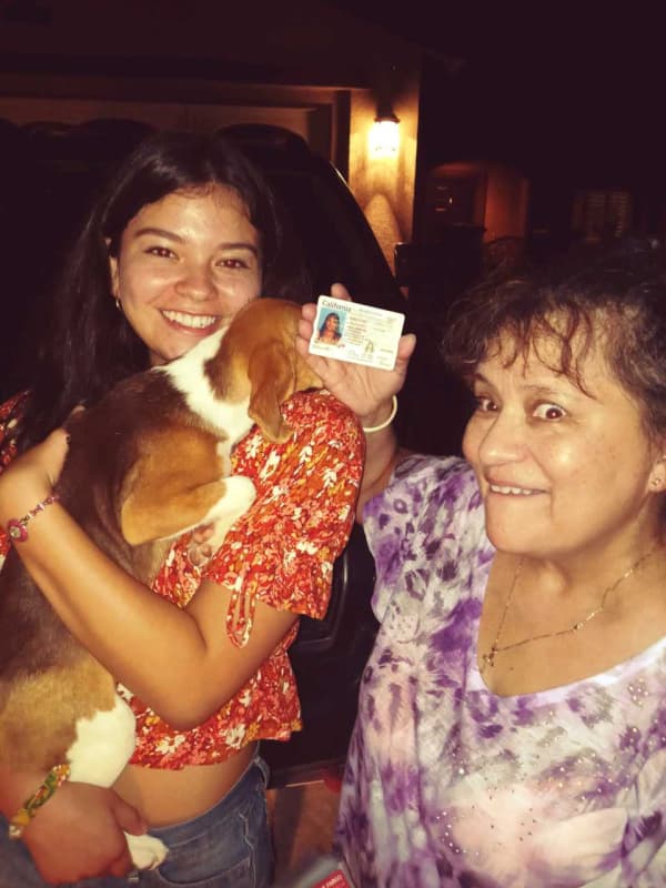 Customer photo of Beagle puppy from Dolores W.