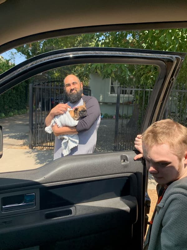 Customer photo of French Bulldog puppy from Derek B.