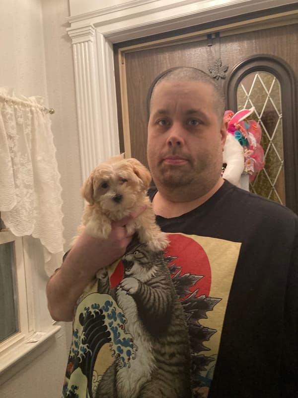 Customer photo of Malti Poo - Maltipoo puppy from Colleen B.