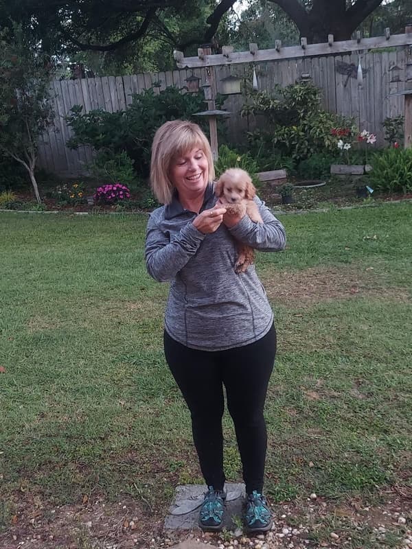 Customer photo of Cockapoo puppy from Ricky P.