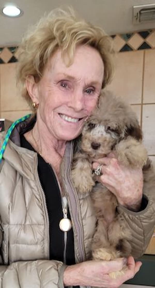 Customer photo of Sheepadoodle puppy from Eileen S.