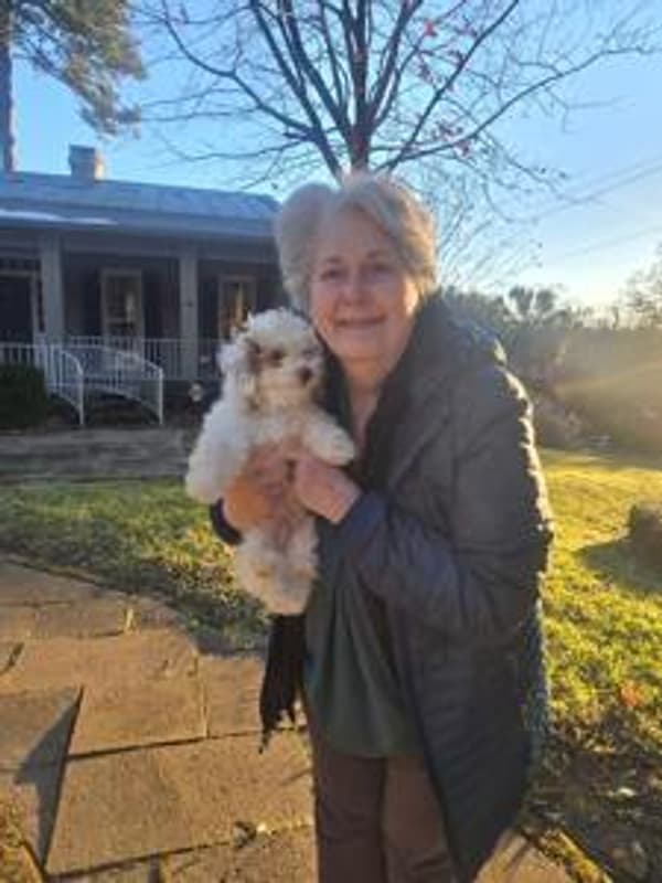 Customer photo of Poodle, Toy puppy from Elizabeth S.