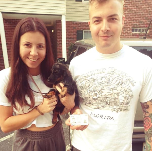 Customer photo of Dachshund, Mini puppy from Damien S.