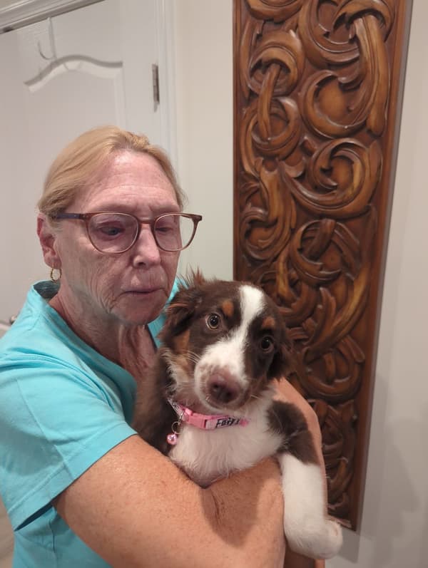 Customer photo of Miniature Australian Shepherd puppy from Sandra A.