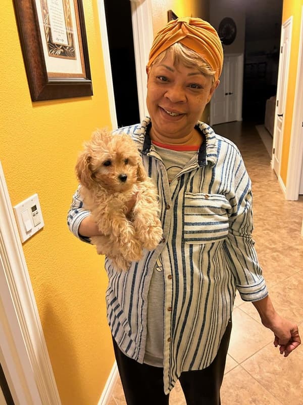Customer photo of Yorkiepoo - Yorkie Poo puppy from Michelle J.