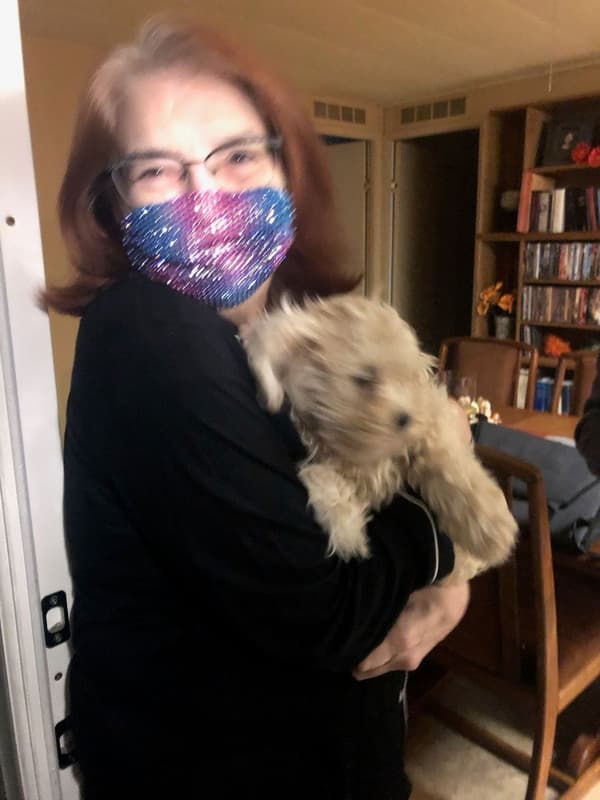 Customer photo of Cockapoo puppy from Karen B.