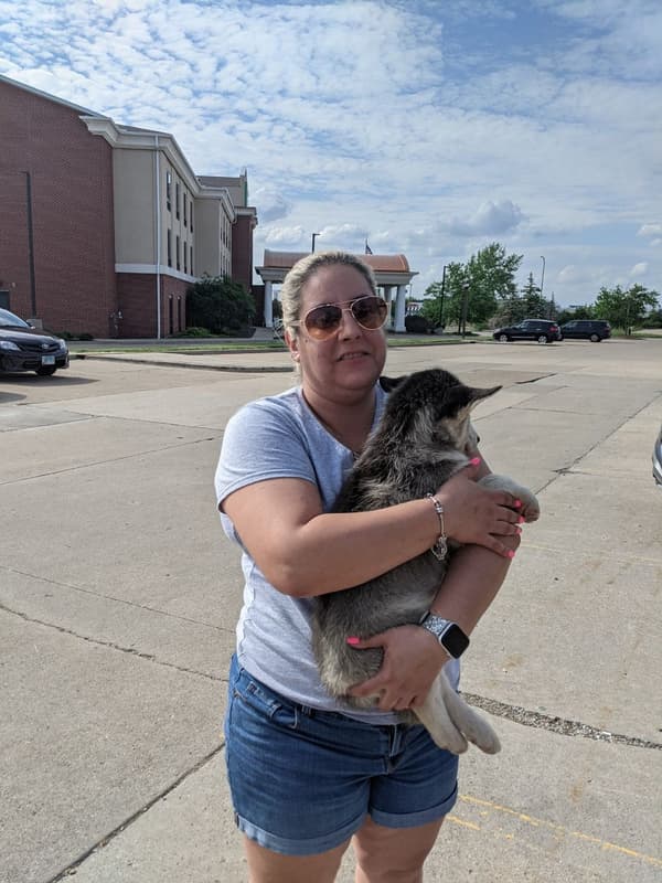 Customer photo of Siberian Husky puppy from Cynthia O.