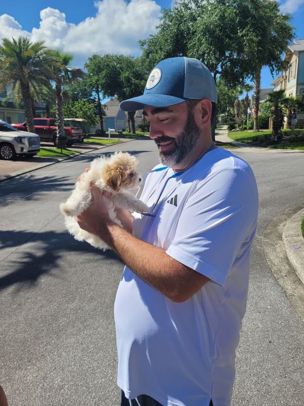 Customer photo of Malti Poo - Maltipoo puppy from James A.