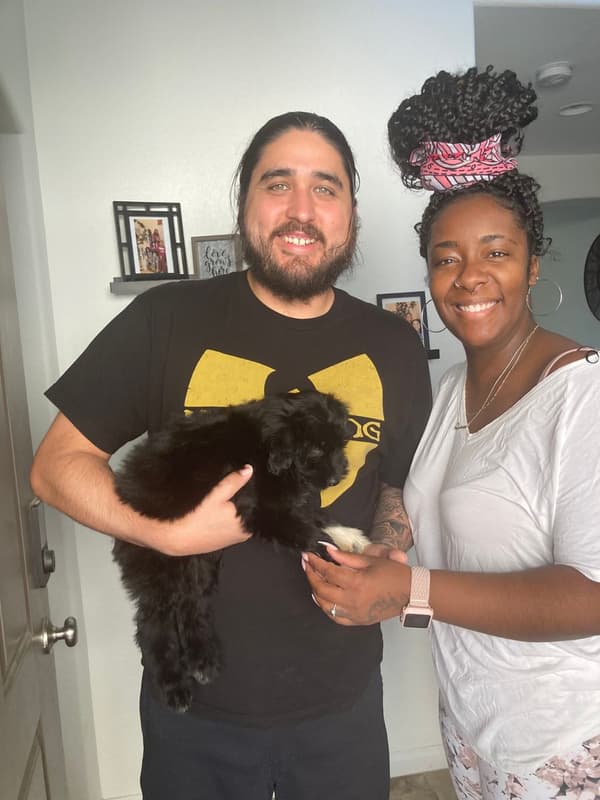 Customer photo of Aussiedoodle puppy from Quinn M.