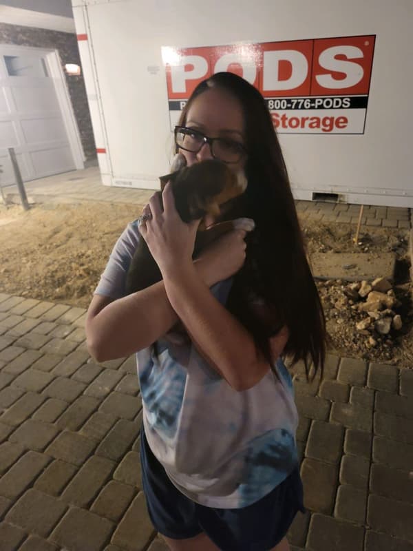 Customer photo of Beagle puppy from Alisa B.