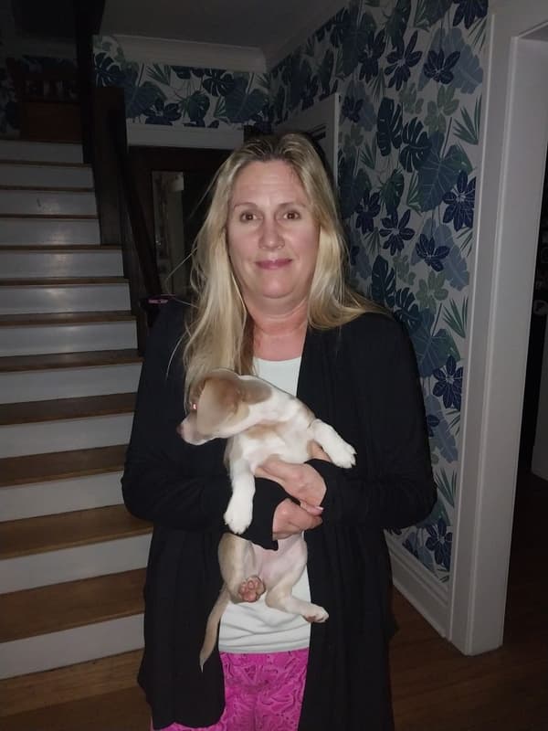 Customer photo of Puggle puppy from Amy T.